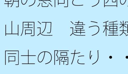 【2025-10-25発売】朝の窓向こう西の山周辺  違う種類同士の隔たり・・・他にもいろいろと・・【d_689767】【サマールンルン】