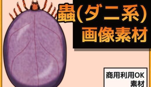 【2025-10-28発売】蟲（ダニ系） 画像素材〜商用OK著作権フリー【d_691781】【商用利用OK素材】