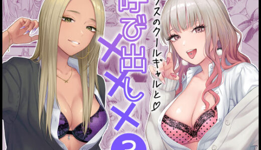 【2025-07-03発売】クラスのクールギャルと呼び出し×××3【d_473970】【FeOワークス】