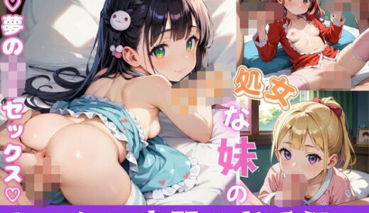 【2025-06-22発売】ロリ処女な妹のセックス実習のお手伝い9【夢のロリセックス！200枚！】【d_599374】【ロリロリ堂】