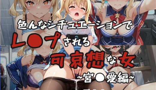【2025-06-12発売】超絶不幸〜色んなシチュエーションでレ●プされる可哀想な女〜宮●愛編【d_601202】【HB鉛筆】