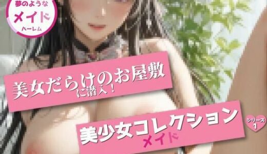 【2025-06-30発売】美少女コレクション 〜メイドハーレム1〜サンプル版【d_608068】【pave】
