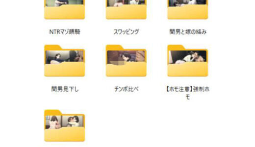 【2025-07-01発売】NTRイラスト集  〜夫婦編〜  計110枚【d_613565】【cuckold愛好家】