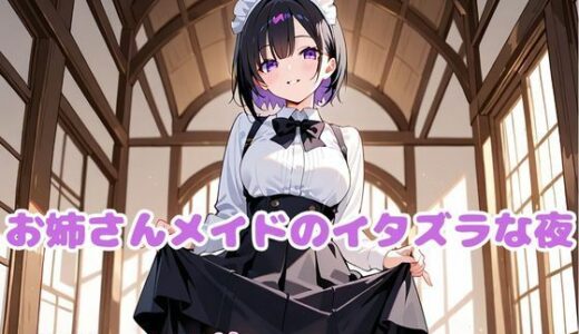 【2025-06-20発売】お姉さんメイドのイタズラな夜【d_613586】【変態紳士倶楽部】