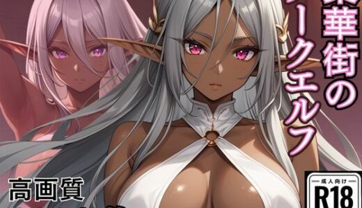 【2025-07-03発売】繫華街のダークエルフ【d_614302】【ホムラ】