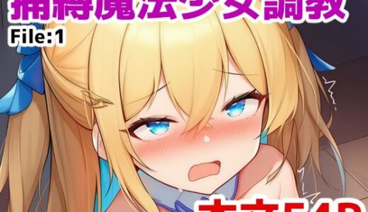 【2025-07-04発売】捕縛魔法少女調教 File:1【d_617333】【saltワークス】