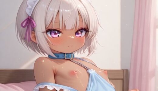 【2025-07-04発売】メイドコレクション壱【d_617433】【白屋】