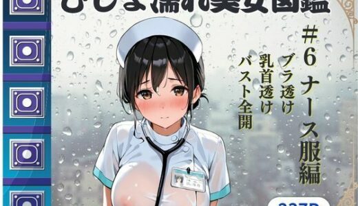 【2025-07-01発売】びしょ濡れ美女図鑑 ＃6 ナース服編【d_617829】【ももいろクレヨン】