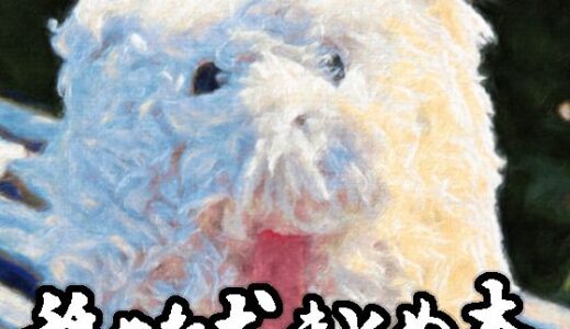 【2025-07-07発売】舐めた犬まとめ本【d_617989】【舐めた犬】