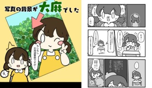 【2025-06-25発売】自撮りしてSNSにのせたら写真の背景大麻だった話【d_618806】【ぴょこっとついんて】