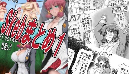 【2025-06-26発売】Skebまとめ1【d_619537】【アトリエサツキ】