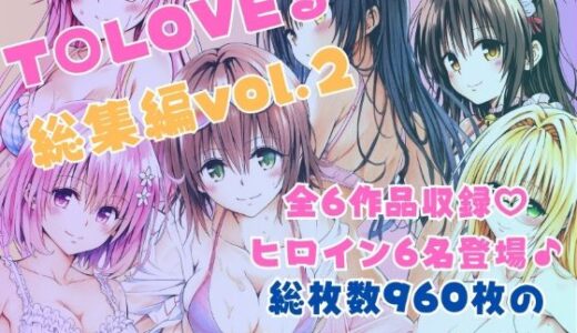 【2025-06-28発売】ToLOVEる総集編Vol.2【d_620253】【あんらいふ】