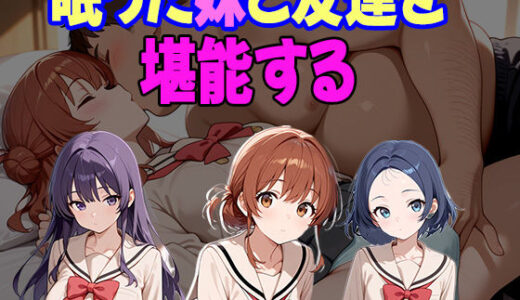 【2025-07-09発売】不登校の俺を説得に来た妹とその友達を眠らせて好き放題した話【d_622554】【あいのえ】