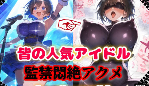 【2025-07-14発売】人気アイドル拉致監禁プロファイリング【CG集500枚】【d_624447】【ぷりずむコメット】