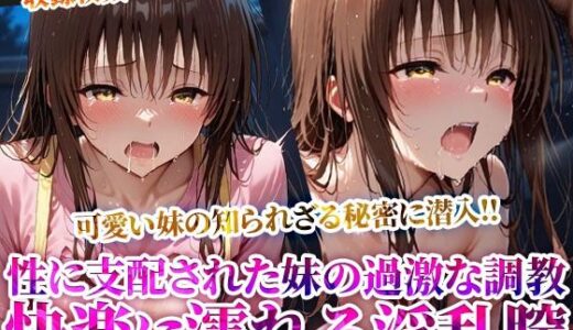 【2025-07-11発売】俺の可愛い妹が変態オヤジたちに調教され肉便器に！溢れる体液と漏れ出る喘ぎ声に俺まで興奮してしまい…【d_624548】【推しを押してそして】