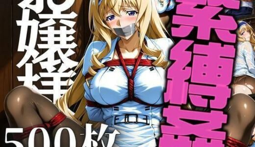 【2025-07-10発売】お嬢様を緊縛姦【d_625203】【エロ灰皿】