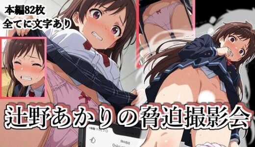 【2025-07-14発売】辻野あかりの脅迫撮影会【d_626582】【張りぼて】