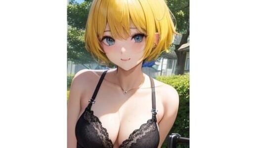 【2025-07-14発売】ランジェリータウン2【d_626658】【八夜サークル】