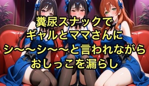 【2025-07-07発売】【完全お漏らし体験型】糞尿スナックでギャルとママさんにシ〜〜シ〜〜と言われながらおしっこを漏らし踏ん張ってウンチを漏らすように強要されるボイス【我慢/お姉さん/スカトロ】【d_627634】【エロカフェ】