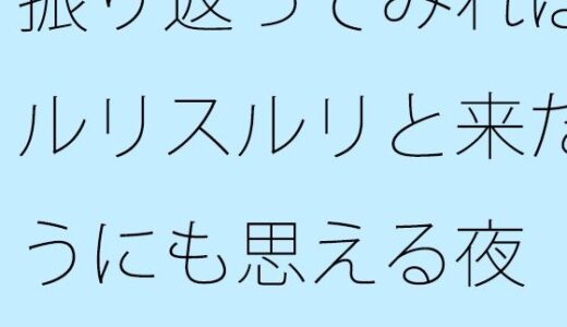 【2025-07-10発売】振り返ってみればスルリスルリと来たようにも思える夜  今後は慣れた道でも・・・・そしてまだまだ・・・【d_630009】【サマールンルン】