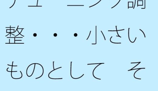 【2025-07-12発売】チューニング調整・・・小さいものとして  それほど広くない木箱の中での周波数エンタ【d_631048】【サマールンルン】