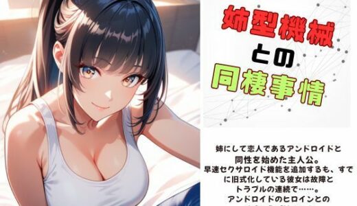 【2025-07-12発売】姉型機械との同棲事情【d_631400】【Meggy】