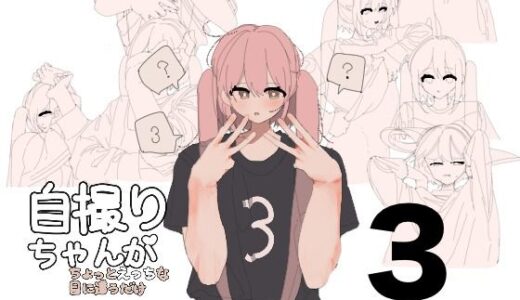 【2025-07-21発売】自撮りちゃんがちょっとえっちな目に遭うだけ3【d_633673】【画狂老人卍】