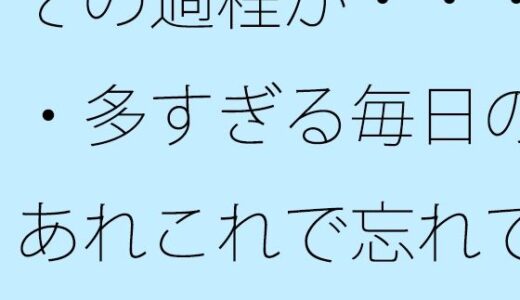 【2025-07-17発売】その過程が・・・・多すぎる毎日のあれこれで忘れてしまう・・・【d_634376】【サマールンルン】