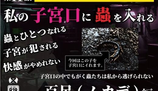 【2025-08-01発売】私の子宮口の中に蟲を入れる 第11話 百足（ムカデ）編【d_636873】【シングルママの日常】
