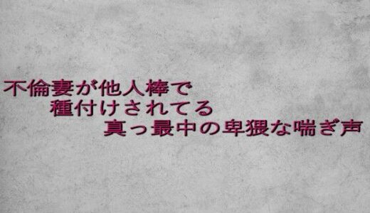 【2025-07-23発売】不倫妻が他人棒で種付けされてる真っ最中の卑猥な喘ぎ声【d_637883】【ガールズコレクション】
