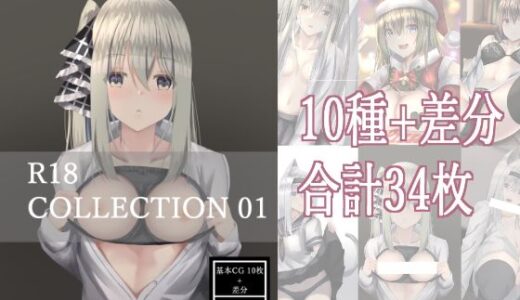 【2025-07-29発売】R18 COLLECTION 01【d_641498】【YS画研】