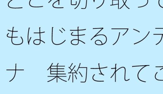 【2025-08-01発売】どこを切り取ってもはじまるアンテナ  集約されてこんがらがって寝た昨夜から朝【d_643558】【サマールンルン】