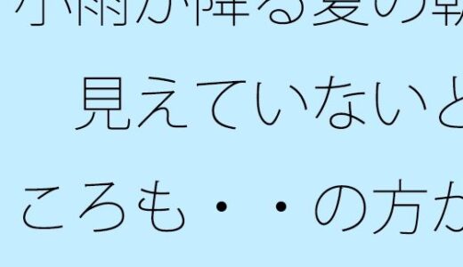 【2025-08-08発売】小雨が降る夏の朝  見えていないところも・・の方が良い【d_646881】【サマールンルン】