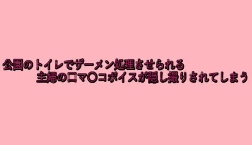 【2025-08-08発売】公園のトイレでザーメン処理させられる主婦の口マ〇コボイスが隠し撮りされてしまう【d_646923】【脳イキASMR】