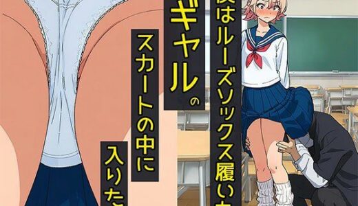 【2025-11-05発売】僕はルーズソックス履いたギャルのスカートの中に入りたい【d_669285】【日替わりさん】