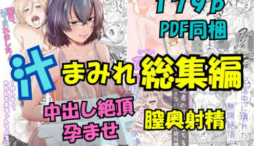 【2025-11-02発売】汁まみれ総集編〜中出し絶頂・孕ませ膣奥射精〜【d_672565】【さくらもち工房】