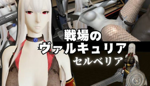 【2025-11-25発売】【総集編】戦場のヴァルキュリアからセルベリアが登場！画面の向こうから貴方を襲う夢のような脅威の動画4本パック【d_684141】【異世界転生】