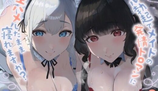 【2025-11-28発売】【ALL無声音】フル勃起でメイドの発情トロマンに生ハメしたまま寝れますか？【スローセックス/ずっと生ハメ】【d_685671】【バブバブの森】