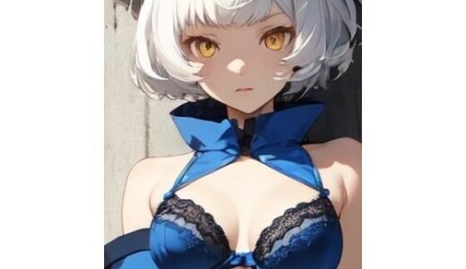 【2025-11-03発売】ペルソナ3女子画像集【d_688550】【八夜サークル】