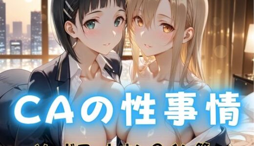 【2025-11-05発売】CAの性事情  ― パイロット専用の肉体奉仕  ソードアート・オン〇イン編【d_689084】【ぶっかけ太郎】