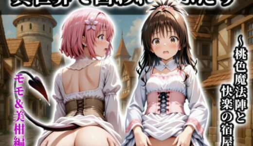 【2025-11-10発売】《異世界で囚われたふたり》〜桃色魔法陣と快楽の宿屋〜【CG集 厳選500枚】【d_689308】【A.I.Lab】