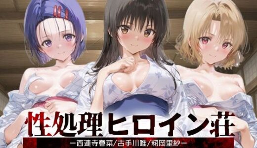【2025-11-05発売】性処理ヒロイン荘_西連寺/古手川/籾岡里紗【d_689940】【シロップディザスター】