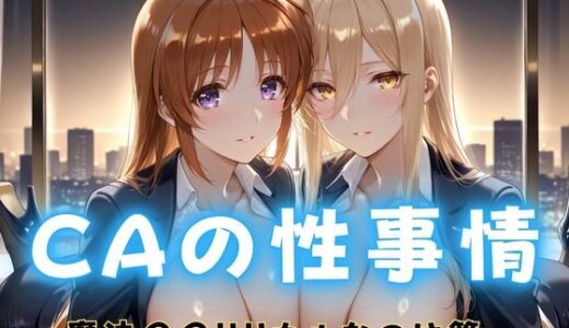 【2025-11-08発売】CAの性事情  ― パイロット専用の肉体奉仕  魔法〇〇リリカルなのは編【d_691591】【ぶっかけ太郎】