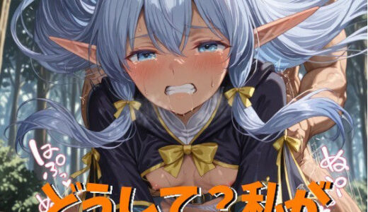 【2025-11-08発売】エルフの失敗【d_691683】【ぬこの営み】