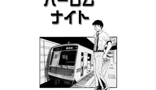 【2025-11-08発売】ハーレムナイト【d_691874】【ナンネット】