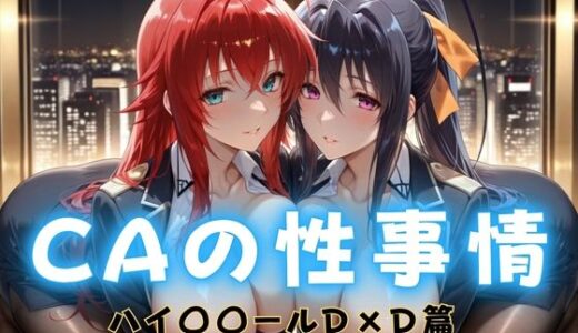 【2025-11-12発売】CAの性事情  ― パイロット専用の肉体奉仕  ハイ〇〇ールD×D編【d_692224】【ぶっかけ太郎】