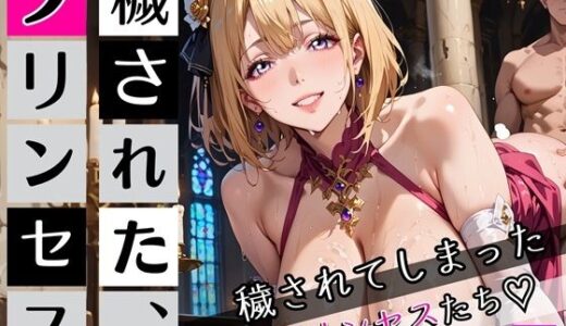 【2025-11-15発売】穢されてしまったプリンセスたち2！230枚【d_697735】【ちっぱい.com】