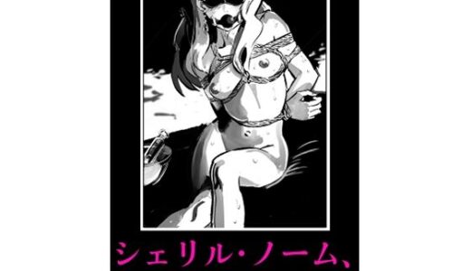 【2025-11-09発売】シェリル・ノーム、その後【d_699714】【なげやりくらぶ】