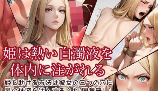 【2025-11-27発売】姫は熱い白濁液を体内に注がれる【d_701014】【あいしゅ】