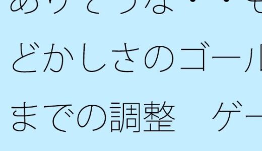 【2025-11-12発売】ありそうな・・もどかしさのゴールまでの調整  ゲーム遊びとしてを置いて・・・把握では分かりにくく【d_701182】【サマールンルン】